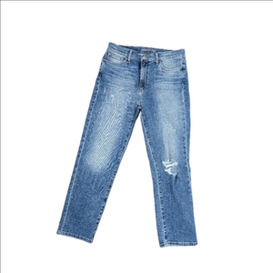 Joe's Nahrin Tomboy Jeans Size 28